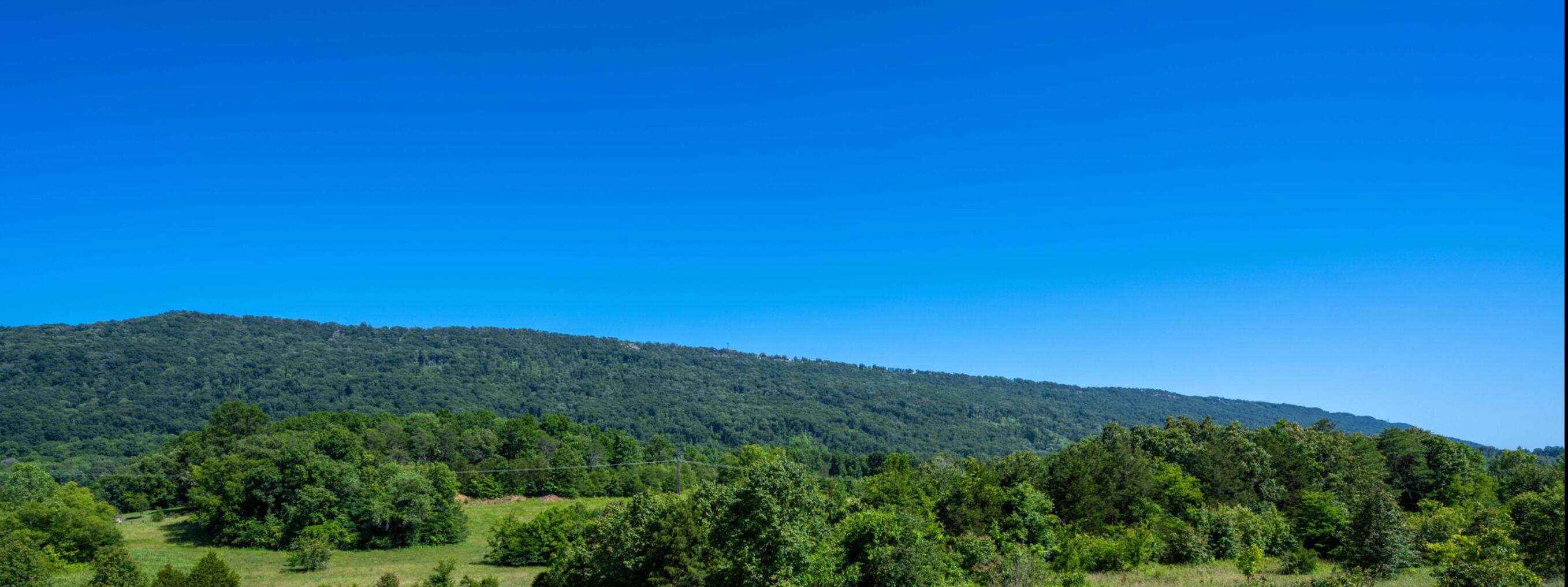 Image 4: Mountain View