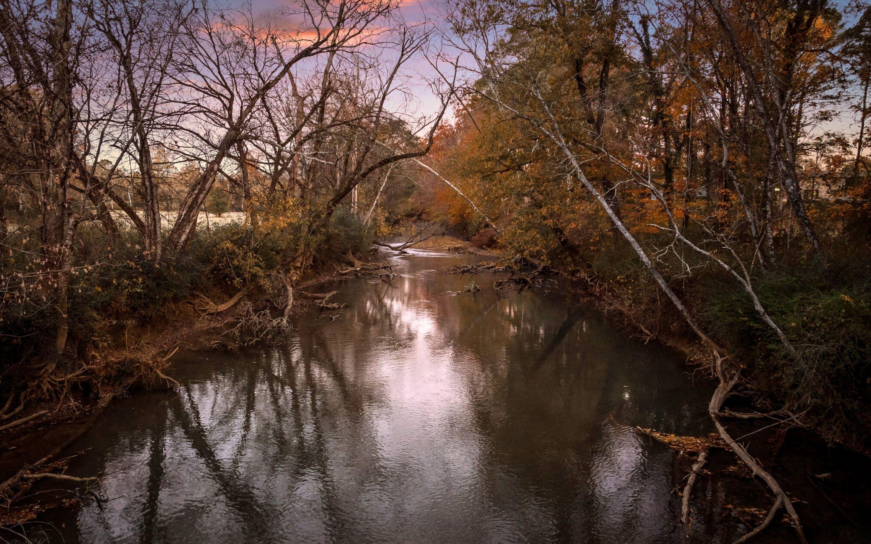 Image 3: Creek on Property