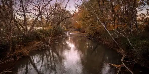 Image 3: Creek on Property