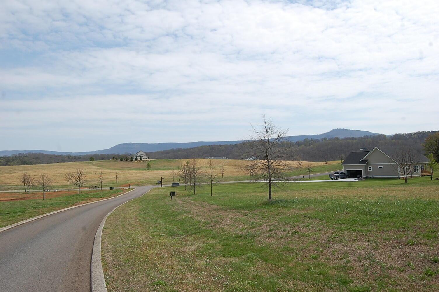 Image 2: DSC_0002