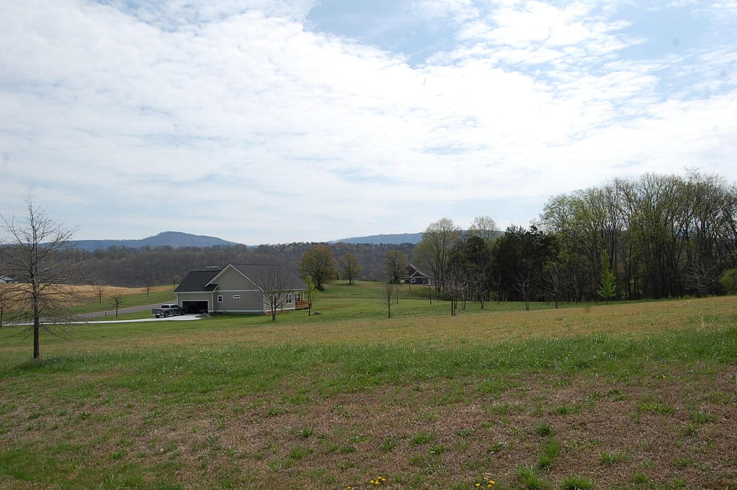 Image 3: DSC_0003