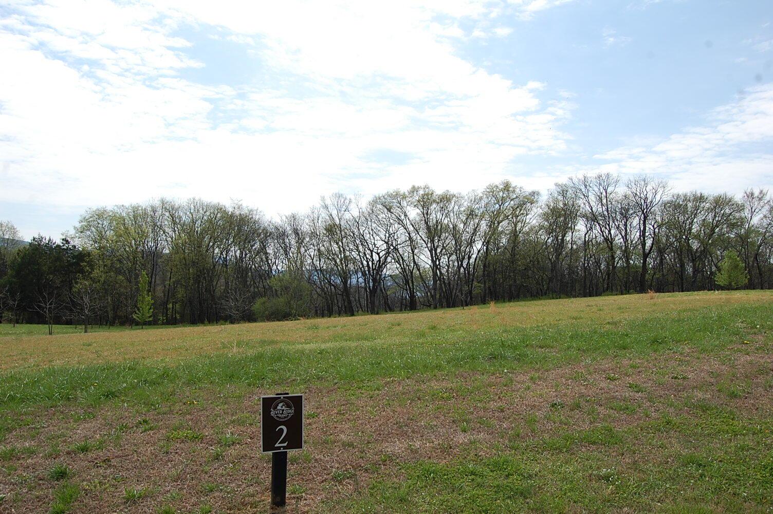 Image 4: DSC_0004
