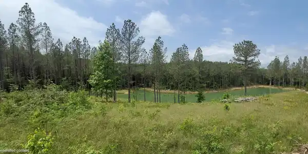 Image 3: Pond