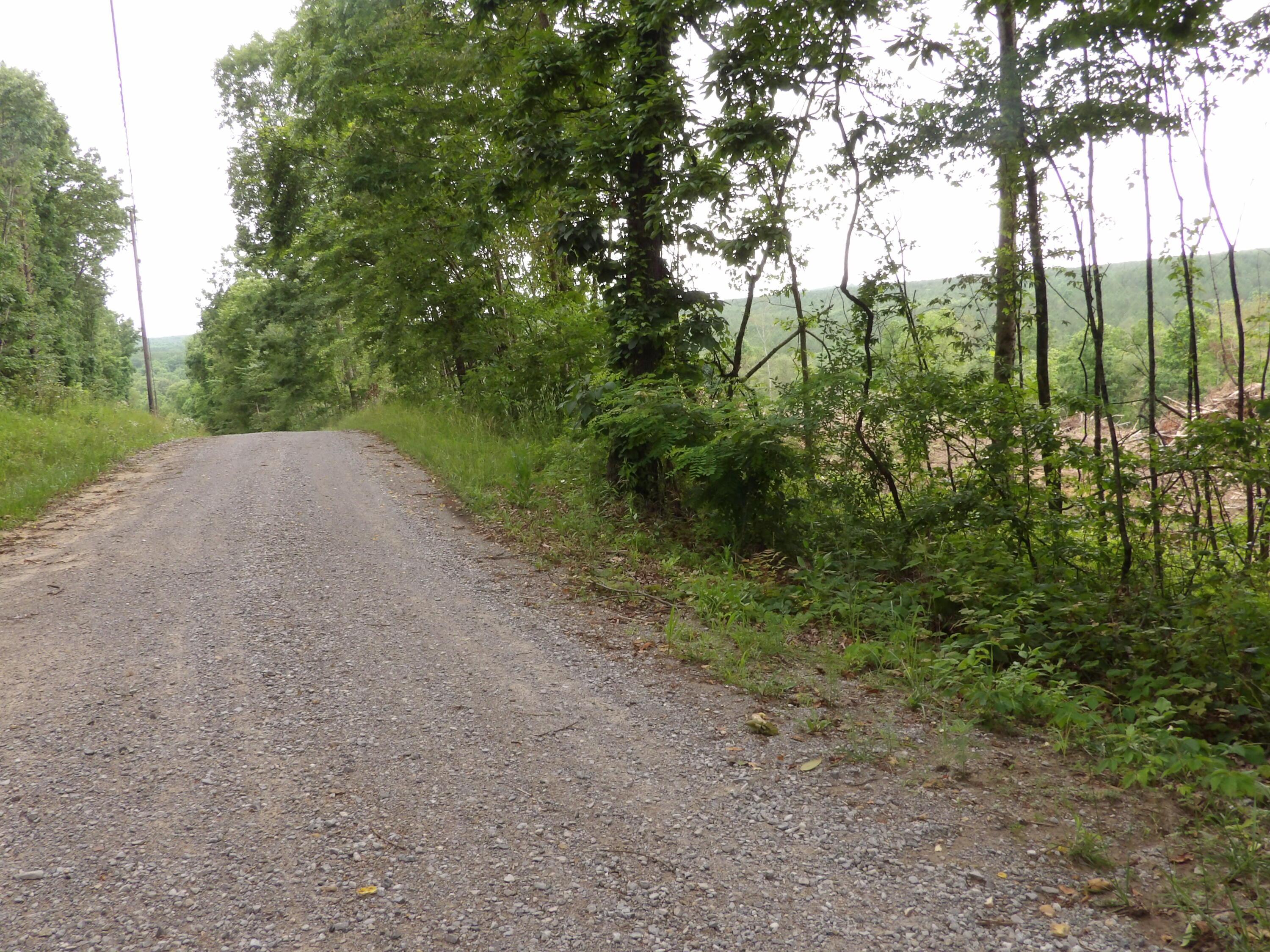 Image 1: 100_1614