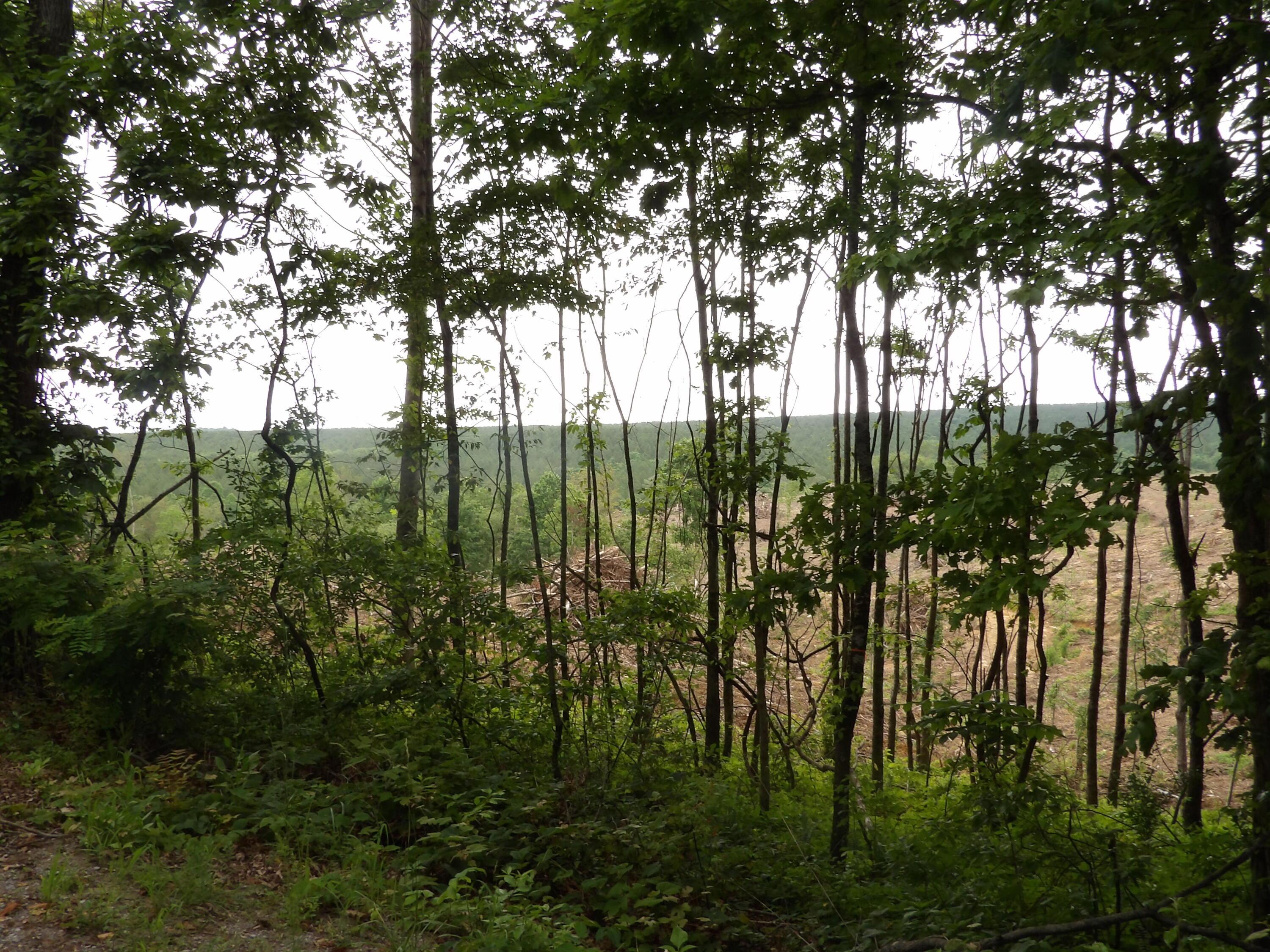 Image 2: 100_1615