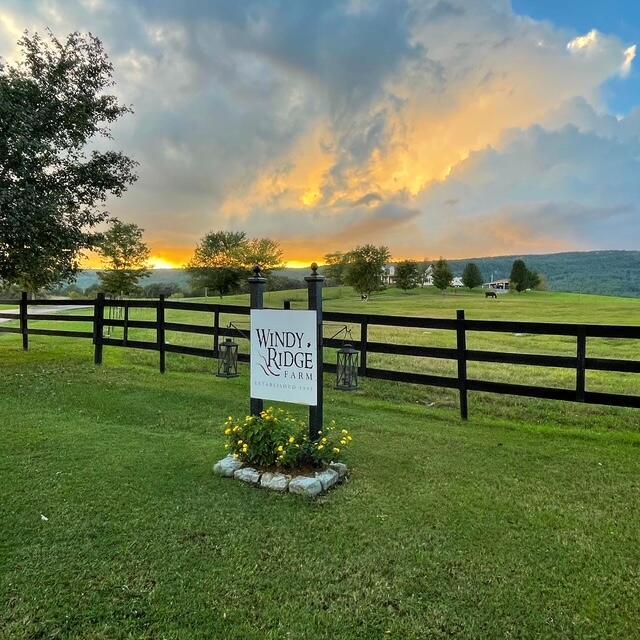 Image 4: 7FD55B77-5A45-4505-8649-B1E9636EF1F6