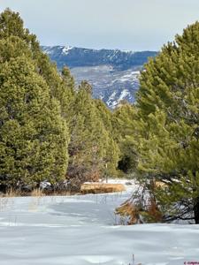 TBD (Lot 533) N Badger Trail