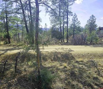 220 & 248 Rock Point Place