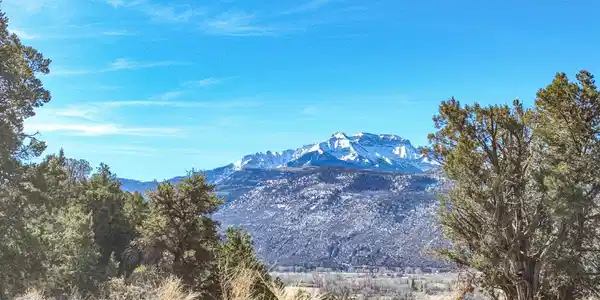TBD Elsie Trail