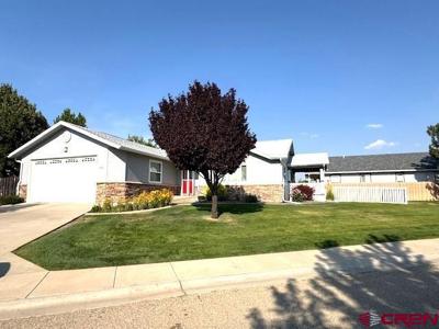 802 Bluffs Blvd