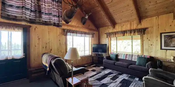 Image 4: great room