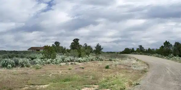 Lot 16 Road K.3