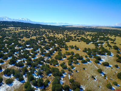 Lot 34 City Ranch Property