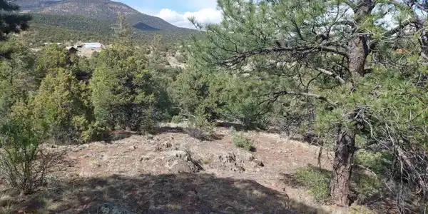 275 Wild Horse Trl