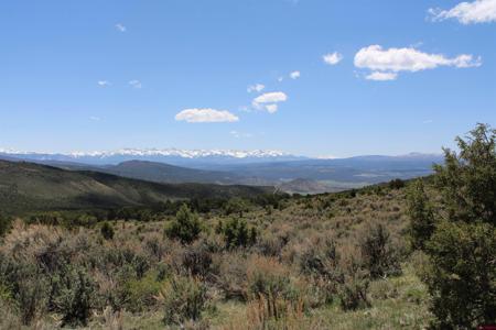 tbd Winchester Trail
