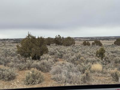 TBD Highway 184