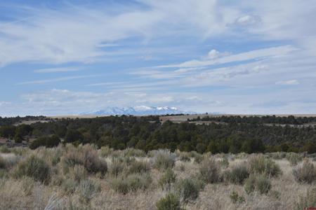 11425 Road 6.5