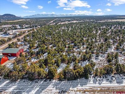 Lot 6 (TBD) County Road 22