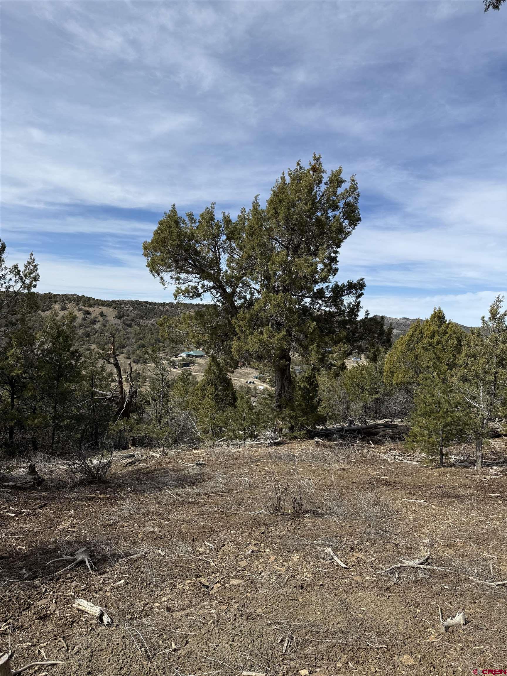 Image 3: View