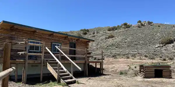 Image 4