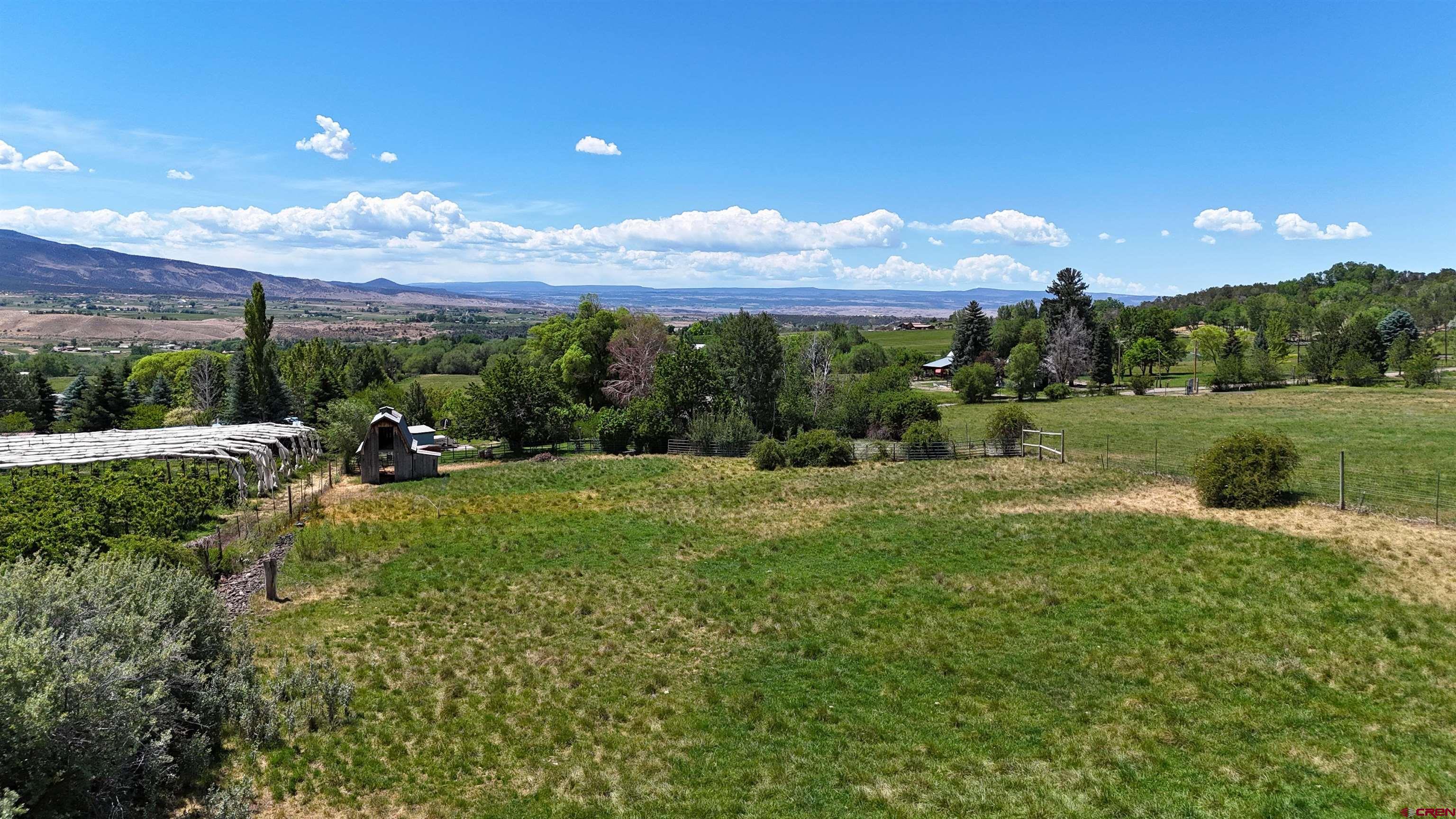Image 4: Irrigated Pasture