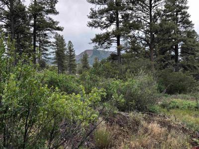 401 Deer Trail