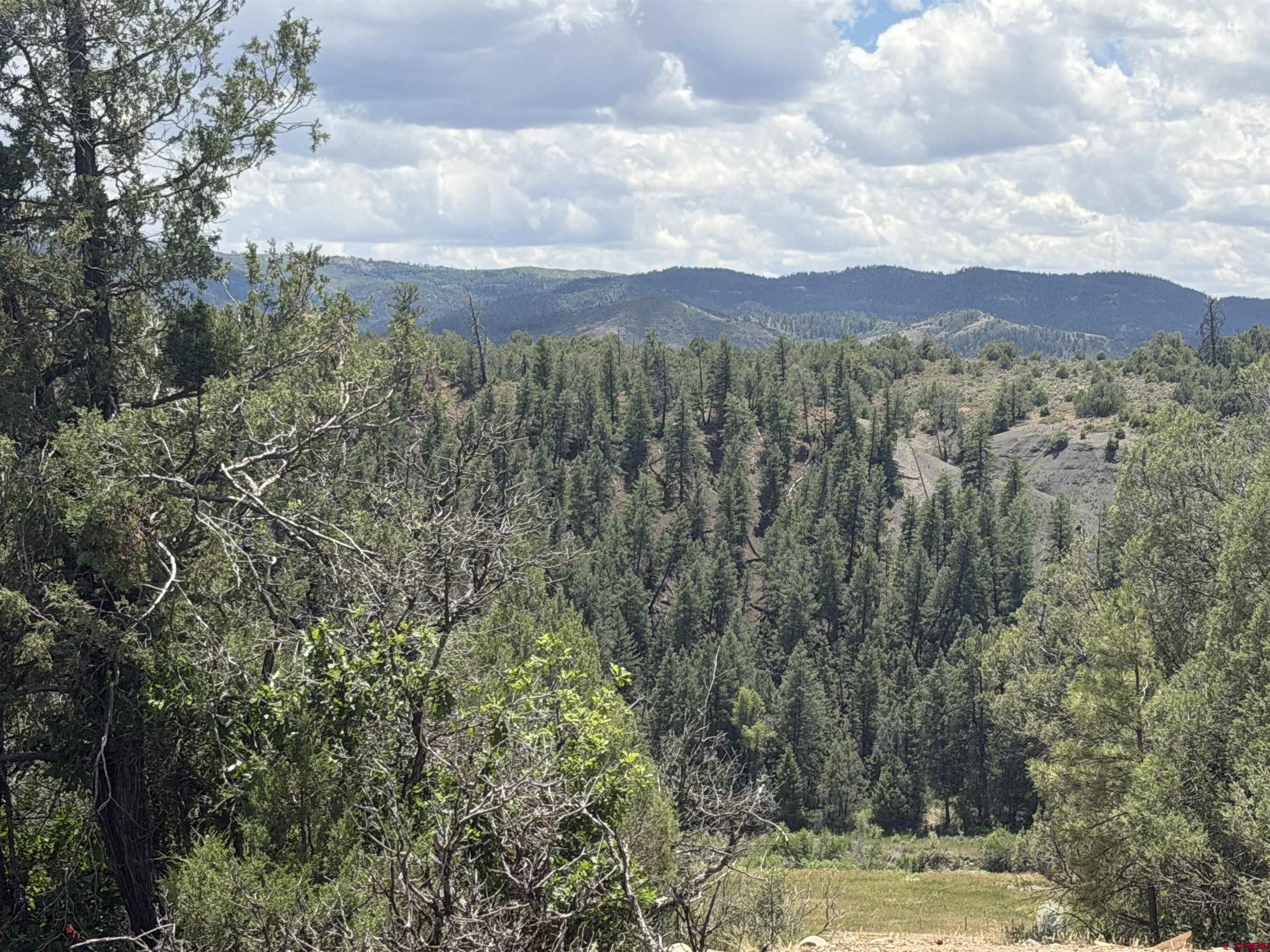Image 2: View