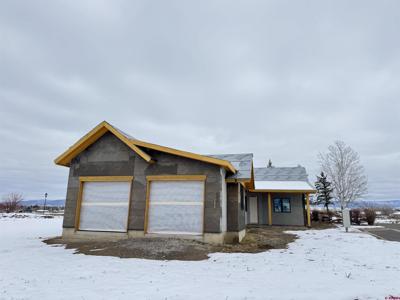 2529 Bridges Loop
