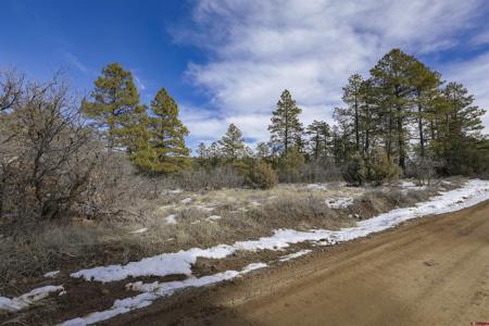 783 Gun Barrel Road