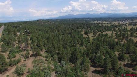 2626 S Pagosa Boulevard