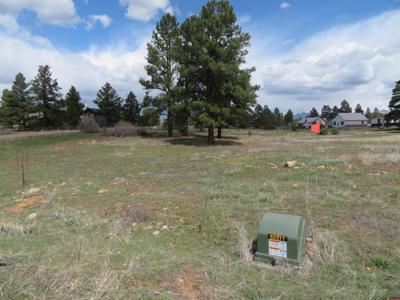317 Domicile Circle