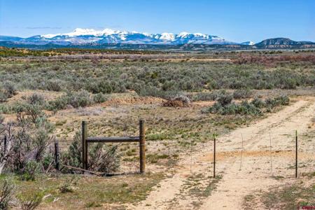 TBD Road H.6 (East Parcel)