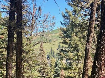 768 Deer Trail