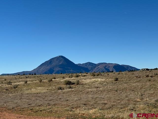 Image 4: Dry Land