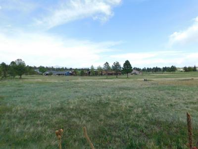 141 Pines Club Place