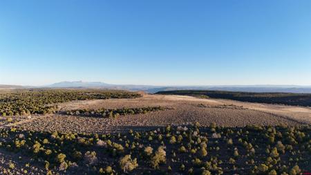 Tract 14 9K Road
