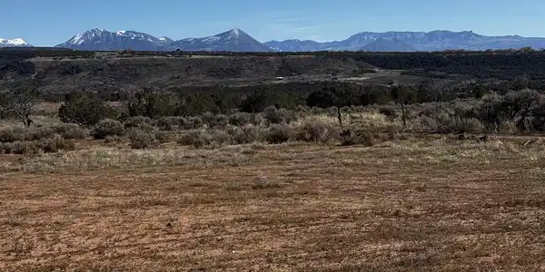 TBD  Lot 14 2625 Lane