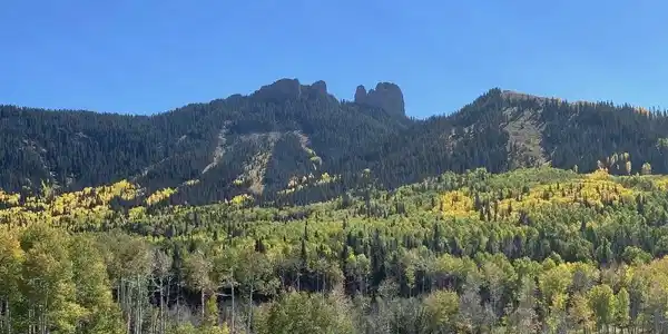 Tbd Forest Service Road 814
