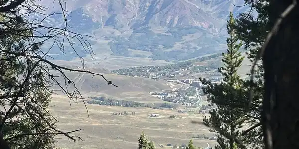 3305 Wildcat Trail