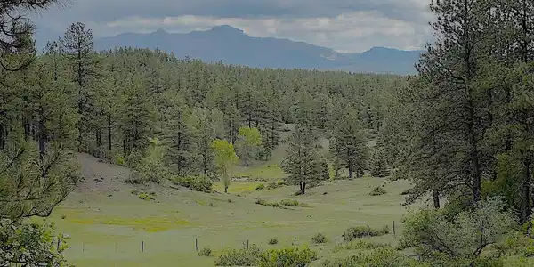 Lot 32 Esmt X Piney Place