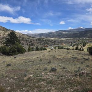 366 Timberline Trail