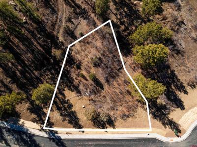 77 Winterberry Ct (Lot 124)