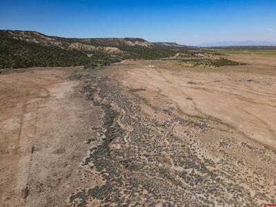 TBDWP County Road 319
