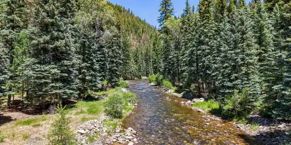 Image 3: 1/3 Mile River Frontage