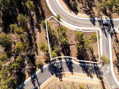 20 Avalanche Lily Dr. (Lot 130)