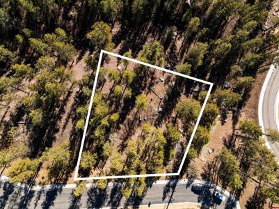 46 Avalanche Lily Dr. (Lot 131)