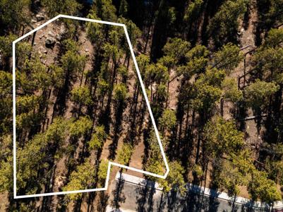 108 Avalanche Lily Dr. (Lot 134)