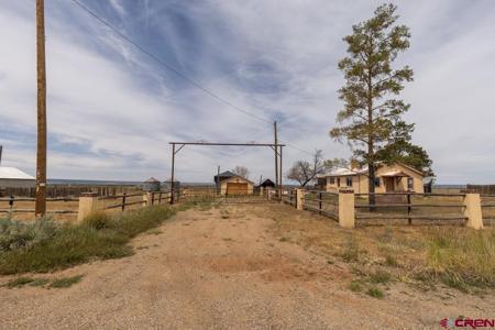 4311 County Road 134