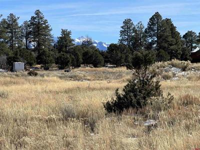 TBD (lot 328) Bear Cub Drive