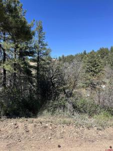 222 Pineridge Tr.